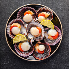 fresh scallop shell seafood meal snack on the table copy space food background rustic top view 