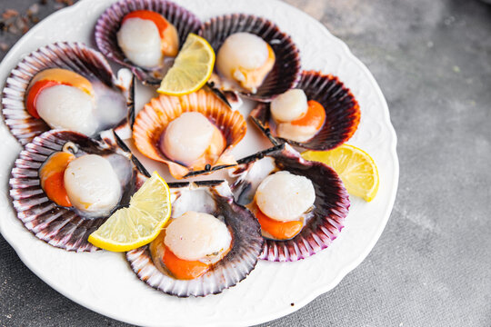 fresh scallop shell seafood meal snack on the table copy space food background rustic top view 