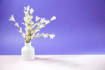white flowers in vase on white table against purple background