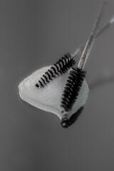 Black brushes for eyebrows and eyelashes