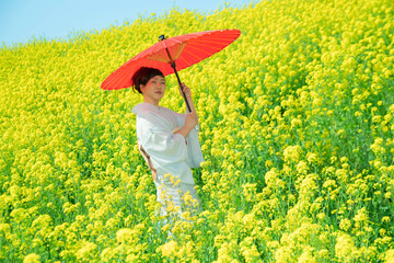 Japanese woman in a beautiful yellow flowers field