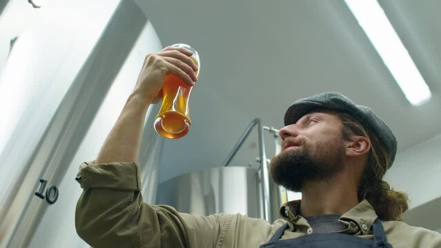 Medium close-up low-angle shot of young bearded male Caucasian brewmaster in apron standing by beer tank, lifting up against light pint glass of fresh lager and checking its quality characteristics