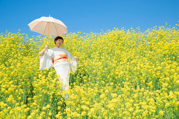 Fototapeta premium Japanese woman in a beautiful yellow flowers field