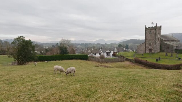 St Michael and All Angels Church in Hawkshead, showing fields and grazing sheep Cumbria, UK