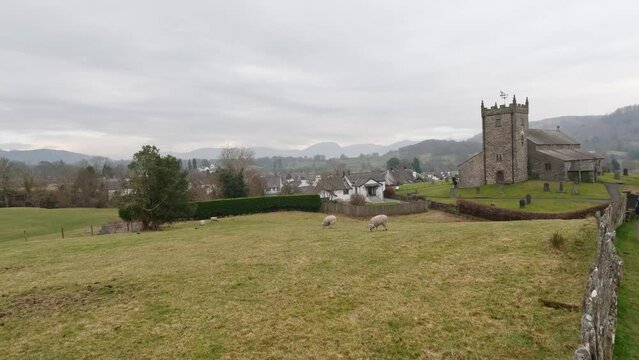 St Michael and All Angels Church in Hawkshead, showing fields and grazing sheep Cumbria, UK