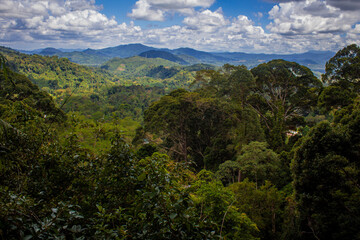 Fototapeta na wymiar View of rainforest around Poring, Kinabalu National Park, Sabah, Malaysia