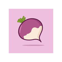 Vector Turnip vegetable illustration 