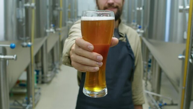 Close-up shot of hand of anonymous male brewery technician in apron holding pint glass of freshly brewed alcoholic beverage, beer or cider, and bringing it closer towards camera