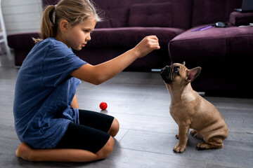 child playing with little dog, girl sitting with french bulldog puppy