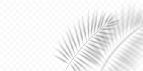 Blurred shadow of a palm leaf isolated on transparent background. Realistic vector illustration.