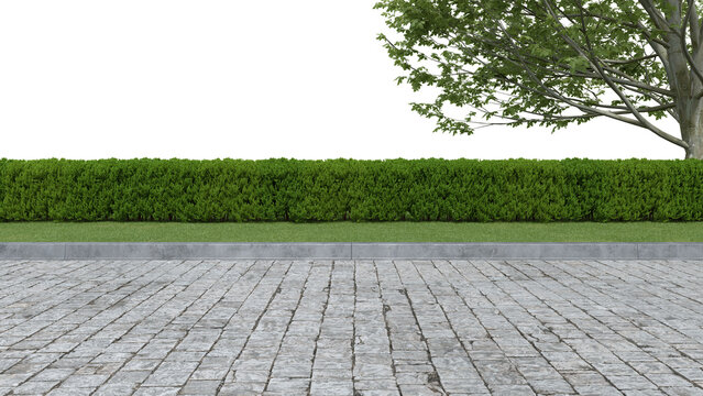 Realistic road side with hedge and tree. 3d rendering of isolated objects.