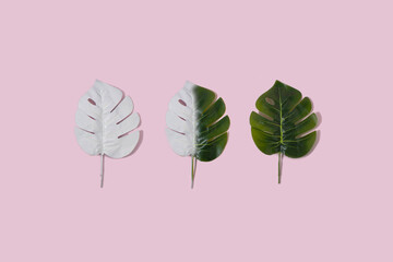 Spring concept loading leaves on pink background. Creative concept.
