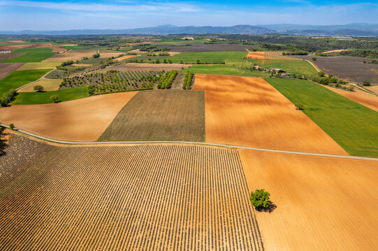 Vue en drone des champs agricoles sur le plateau de Valensole en France