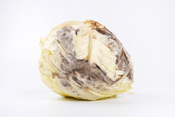 Spoiled cabbage, highlighted on a white background. The concept of decline, the catastrophe of agriculture, improper care of crops, improper storage in the vegetable storage. - obrazy, fototapety, plakaty