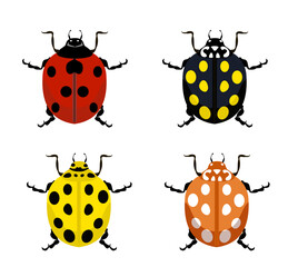 Ladybug. Insects nature bugs vector illustrations of cartoon red, yellow and black ladybugs.