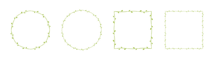 Green vine frames and borders set, floral botanical design element vector illustration © Aletheia Shade