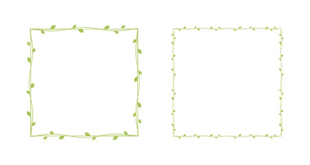 Square green vine frames and borders set, floral botanical design element vector illustration