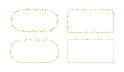 Green vine frames and borders set, floral botanical design element vector illustration © Aletheia Shade