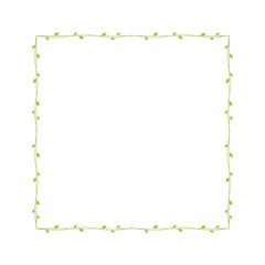 Square green vine frames and borders, floral botanical design element vector illustration