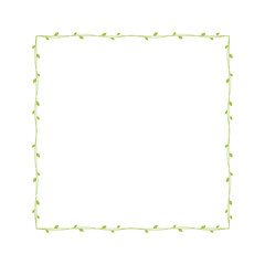 Obraz premium Square green vine frames and borders, floral botanical design element vector illustration