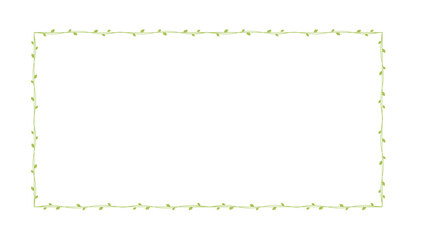 Rectangle green vine frames and borders, floral botanical design element vector illustration