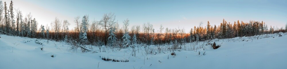 beautiful winter panorama in the mountains on a sunny day