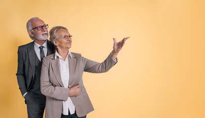 Confident senior businesswoman gesturing, showing and pointing at copy space to male professional...