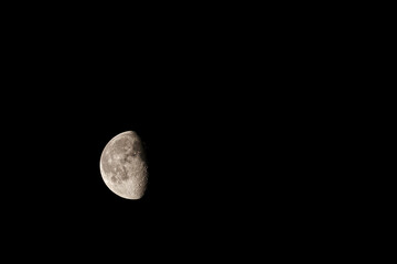 Half Moon. Satellite of the Earth. View of the moon in the black sky. © Denis Shitikoff
