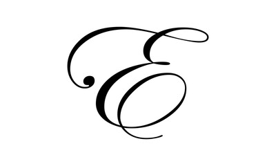 Letter E logo icon design