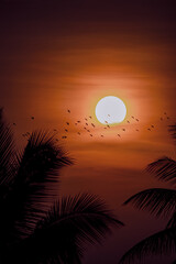 Obraz premium sunset over the sea