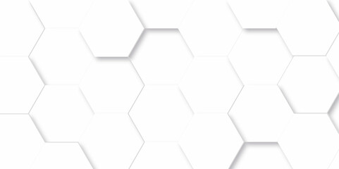 Obraz na płótnie Canvas Abstract background with hexagons and Background with hexagons . Abstract background with lines . white texture background . white and hexagon abstract background. white paper texture.