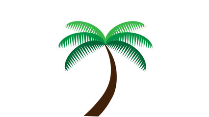 palm tree illustration
