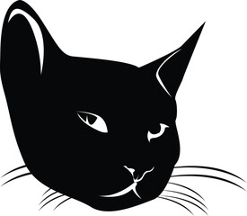 black and white cat face