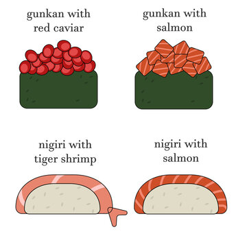 Set of different types of guncan and nigiri with names. Illustration with Asian food icons