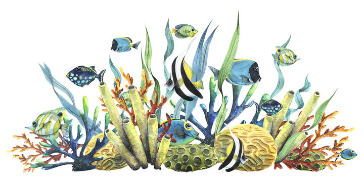 Bright reef fish with corals, sea sponges and algae. Watercolor illustration. Composition from the collection TROPICAL FISHES. For decoration and design of summer and beach prints, stickers