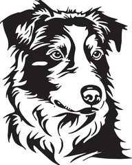 Fototapeta premium Border collie dog face isolated on a white background, SVG, Vector, Illustration. 