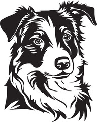 Fototapeta premium Border collie dog face isolated on a white background, EPS, Vector, Illustration. 