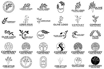 olive branch logo design, black logo and white background