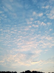 sunset over the field