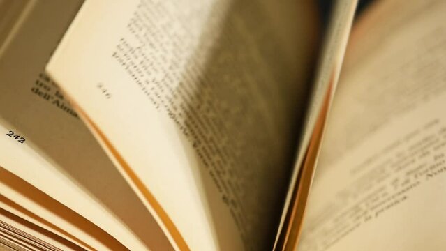 uomo che sfoglia le pagine di un vecchio libro, le pagine di un libro che vengo spinte dal vento