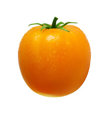 Big yellow tomato isolated on transparent background. Bright vegetable in many water drops. Cut out cooking ingredient. Organic farming. Unusual food element for packaging design, advertising layout