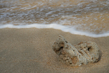 a coral reef stranded and washed up by the waves on a white sandy beach