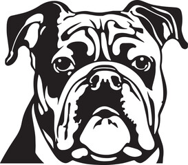 English Bulldog dog face isolated on a white background, SVG, Vector, Illustration.	