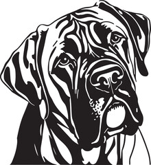 Cane Corso dog face isolated on a white background, SVG, Vector, Illustration.	