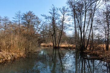 Obraz premium Boniswiler Badi natural swimming pool in the Aabach river in Seengen