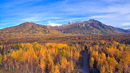 Fototapeta premium Aerial view of the Matanuska River surrounded by autumn trees against mountains in Palmer, Alaska