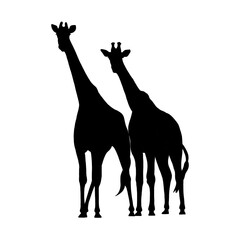 silhouette of giraffe