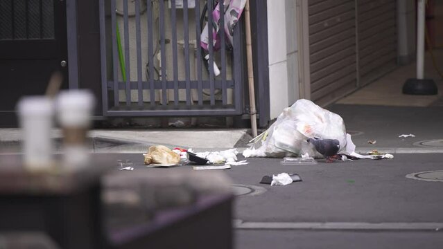路上に散乱するごみと物色する鳩　東京
