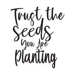 Trust the seeds you are planting