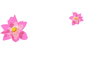 Fototapeta premium pink flower border